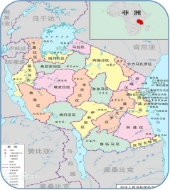 2025年2月坦桑尼亚电力能源展